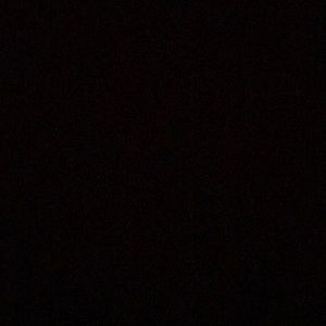 Meet your Posher, Logan